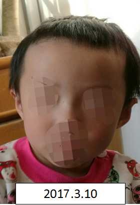 jj插小穴视频免费
